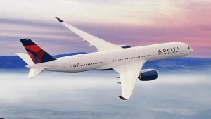 Delta Flight aircraft flying in the sky during sunset with clouds below
