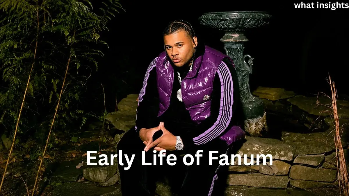 Fanum Net Worth and early life of Fanum showing YouTuber biography, childhood background, content creator journey, career growth, and wealth insights